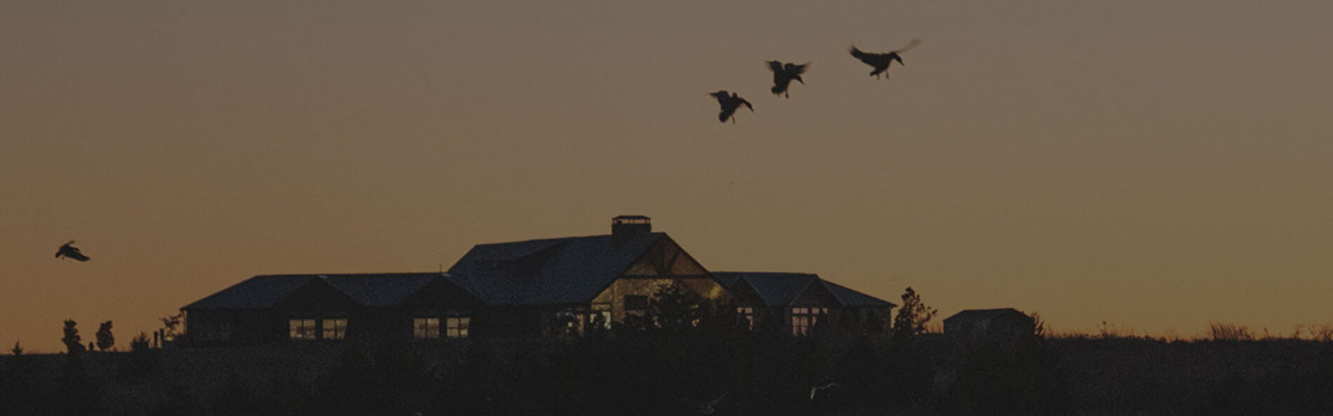 FowlCo Lodge at dusk with ducks flying in the air